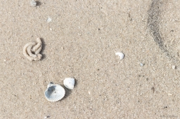 Föhr Strand 1